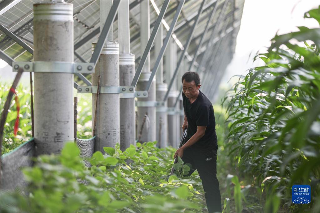 游戏吉祥棋牌