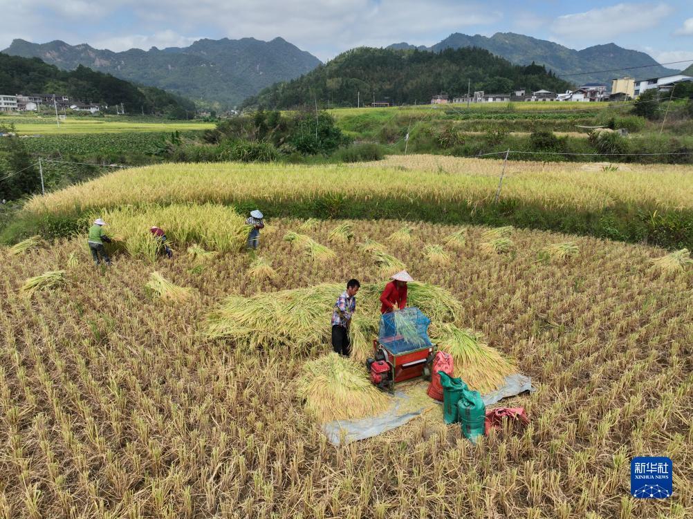 开心川麻电脑板